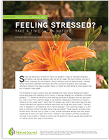 Stress-Response-Report