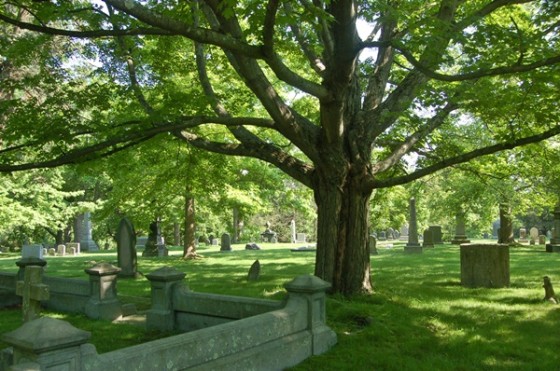 A historic Boston cemetery. Source: Yankee Magazine.