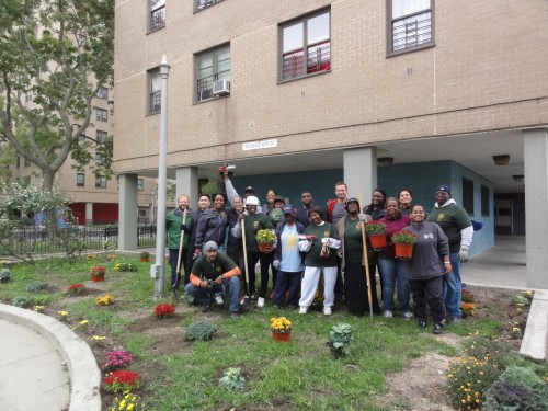 Landscapes of Resilience participants planted ornamental cabbage and mums in early October. 