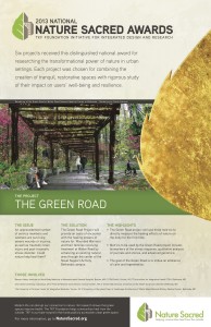 Click on the image to learn more about The Green Road.