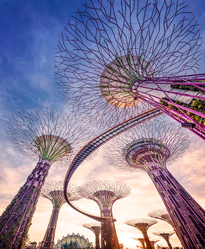 Stunning colors and design in the Supertree Grove. Photo Gardens by the Bay.