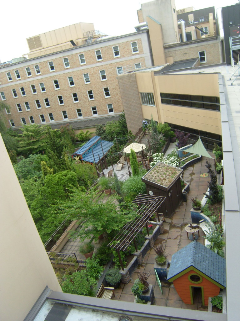 Legacy Health's terrace garden can be experienced from above as well as within. Photo: Hazen