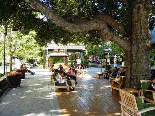 Outdoor public seating under large tress in San Jose.