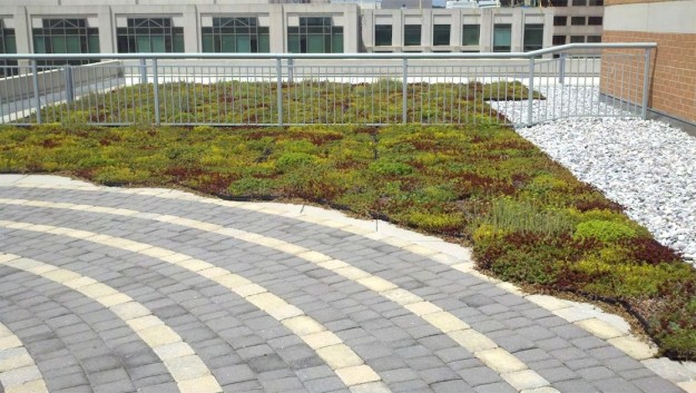 A public labyrinth green roof on the APA building in D.C., supported in part by the TKF Foundation. A meditative moment in a walking labyrinth can bring a surprising amount of peace. A walking labyrinth is a circular path, usually set in stone on the ground, that doubles back on itself and leads to a center point. The history of these designs reach back 4000 years ago to Greece and are known to exist in diverse cultures throughout time. The use of these designs as a meditative practice exist in Christian culture, but other religions and secular groups have used them for centuries to contemplate personal truths. 