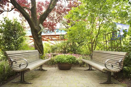 A safe space in a Legacy Garden. Credit: Max Sokol