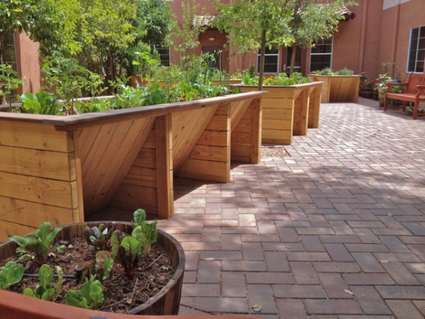 Garden plots designed for wheelchair users. Source: Sedona Winds Assisted Living.
