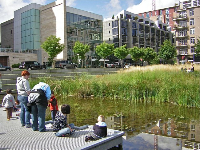 A visit to Tanner Springs Park tends to include observing water life. 
