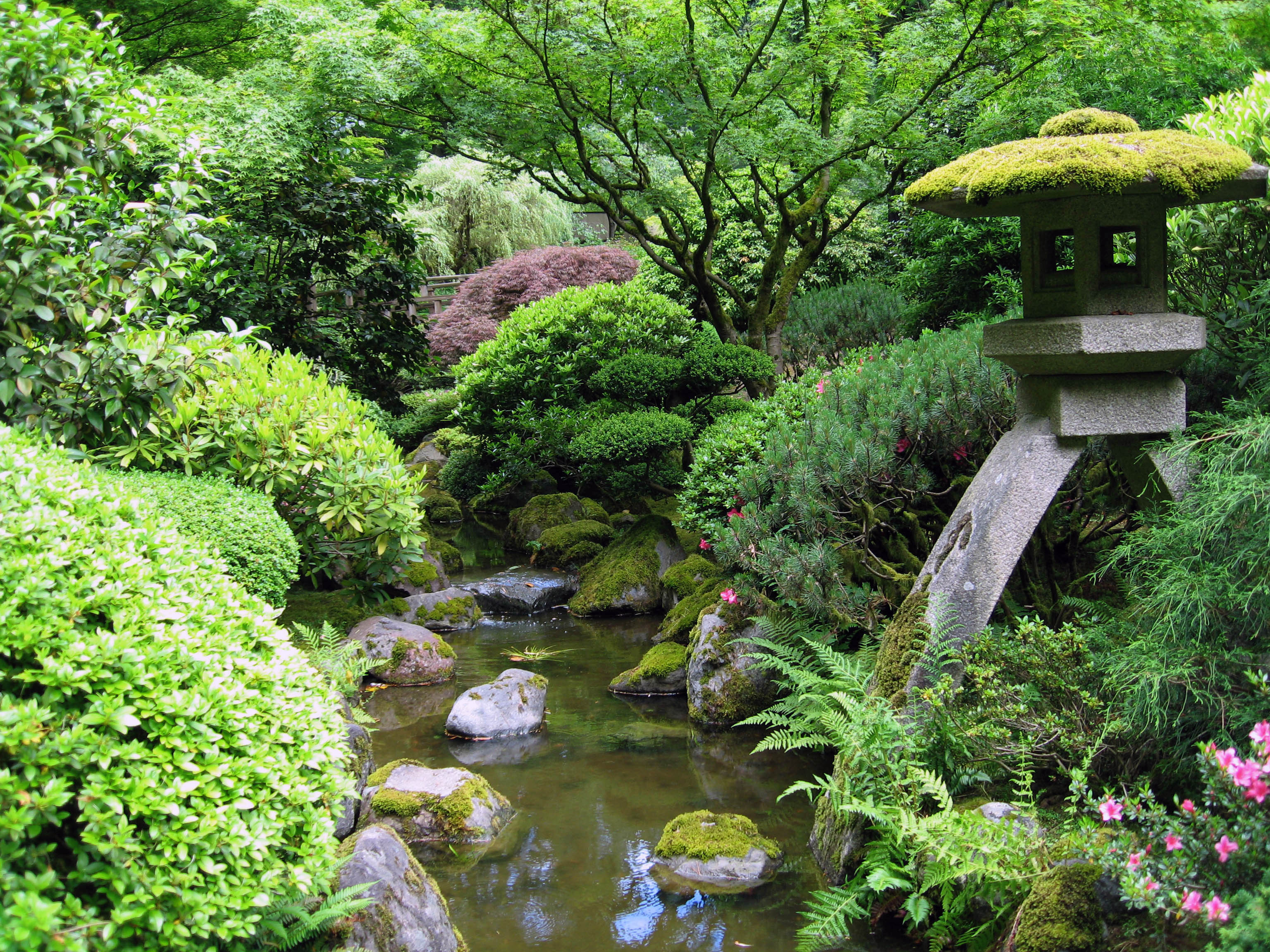 создание японского сада