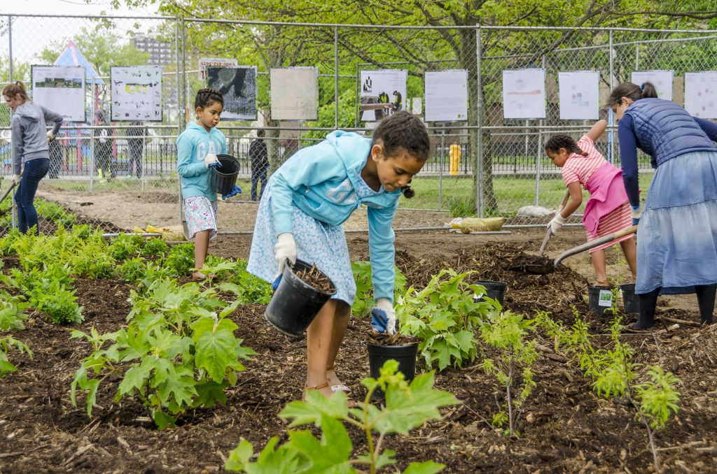 Children volunteer in a Queens, NY community garden. Source: Giles Ashford