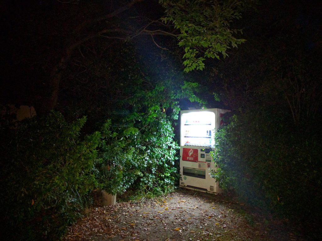 Maruyama Park, Kyoto.