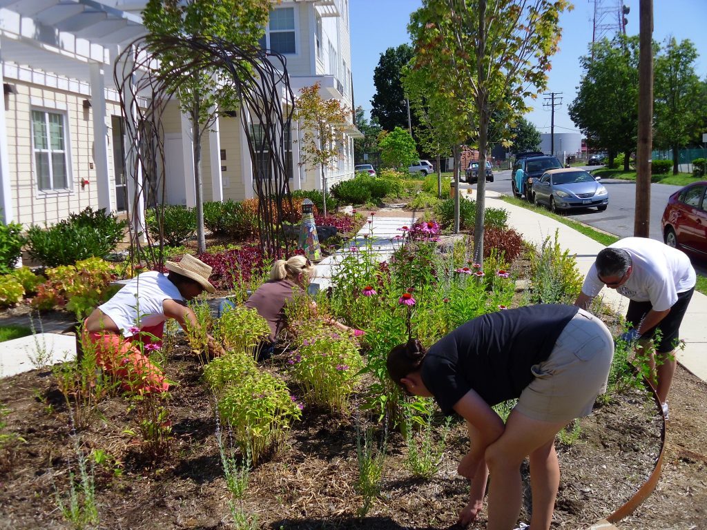Five Grants To Fund Your Community Green Space Nature Sacred