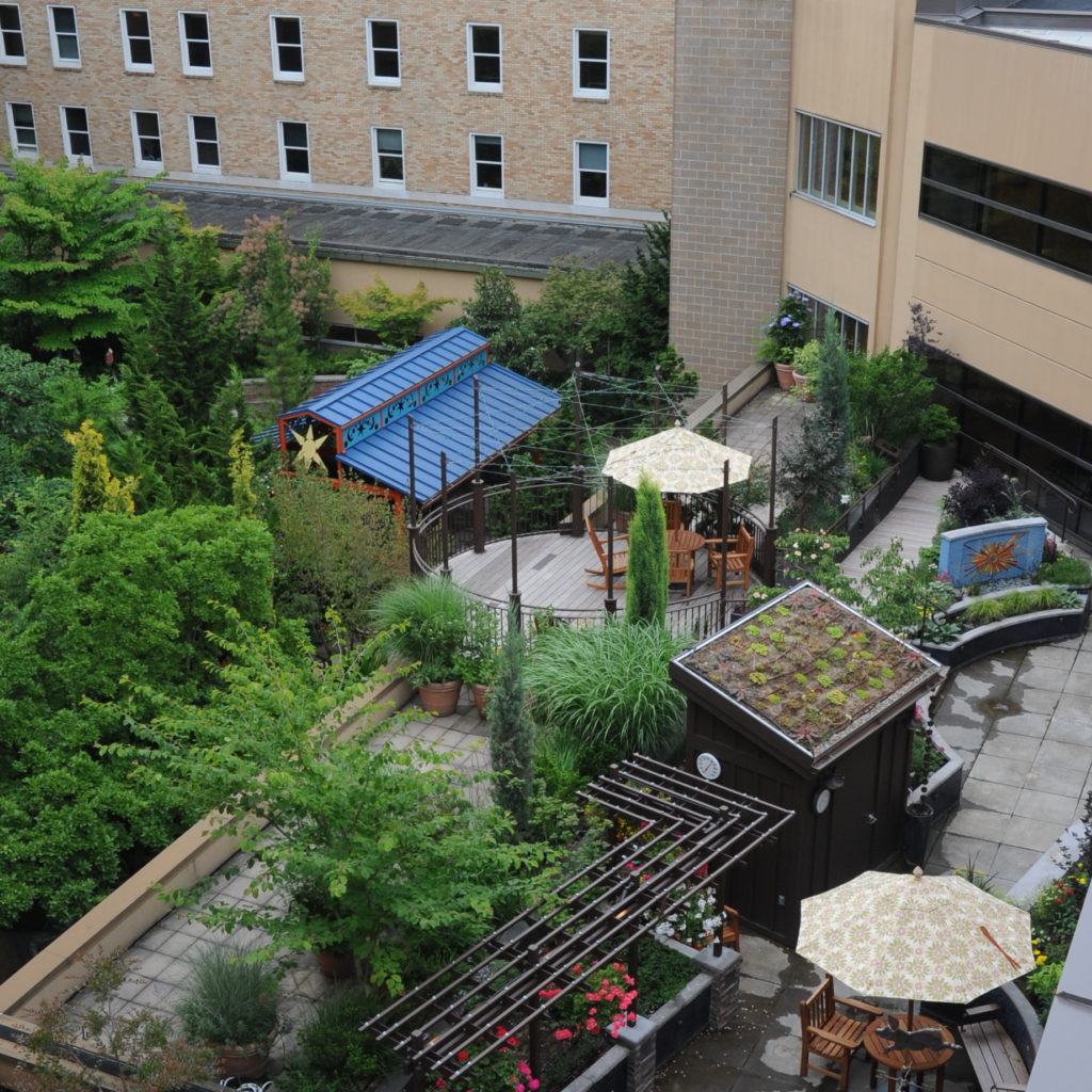 Innovative hospitals incorporate garden design - Nature Sacred on Therapeutic Garden Design
 id=21109