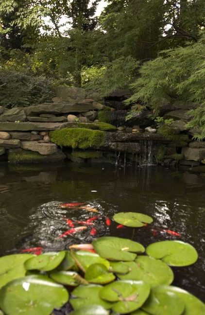 Whitman-Walker Healing Garden - Nature Sacred