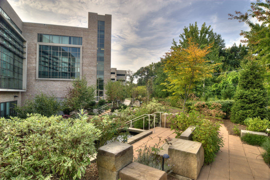 Healing Garden at UM Baltimore Washington Medical Center Nature Sacred